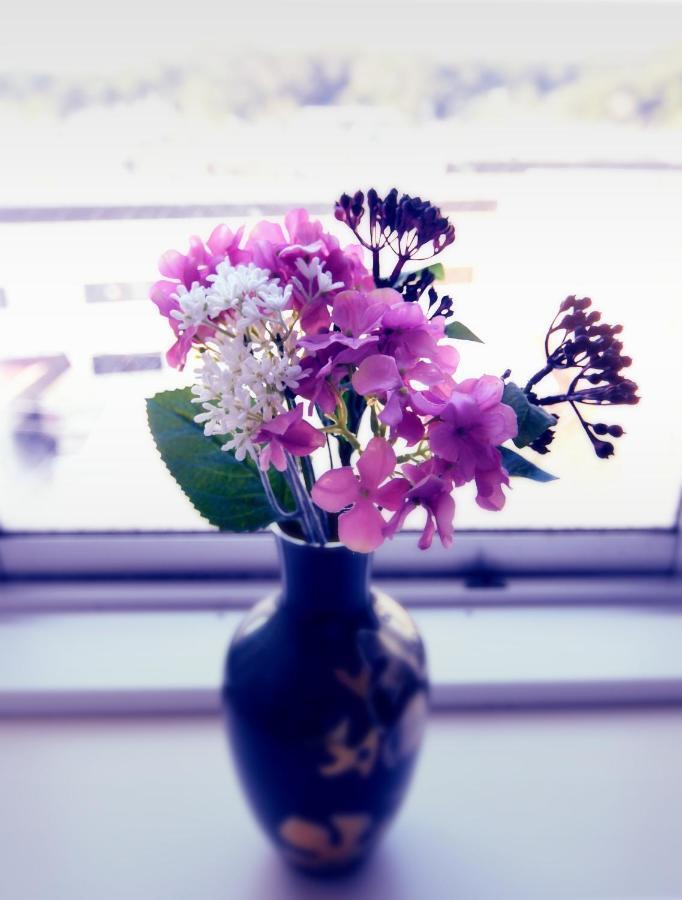 Appartement Guest Nagomi -hydrangea- Kamakura